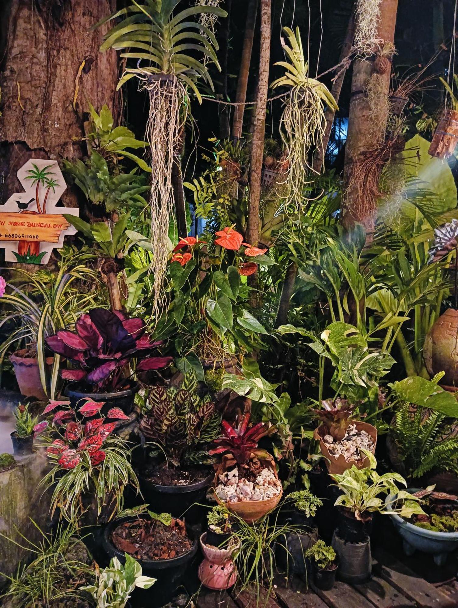 P P Garden Home Bungalow Фи Фи Айлънд Екстериор снимка